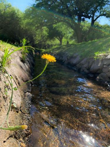Agroturismo Caba�as San Miguel