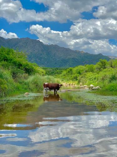 Agroturismo Caba�as San Miguel