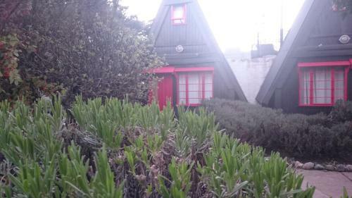 Bed & Breakfast Las Caba�itas