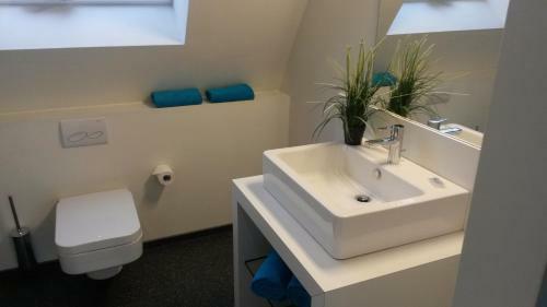 Apartamento Lausitz Resort - Feriendorf Scado
