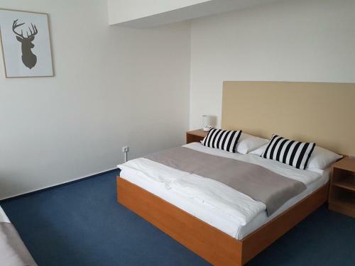 Hotel Lipno