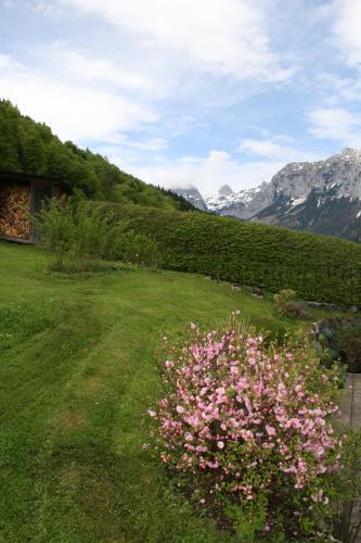 Apartamento Haus Angerbichl