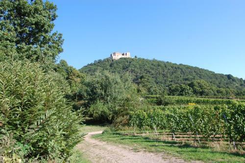 Hostal Landgasthof J�gerst�bchen