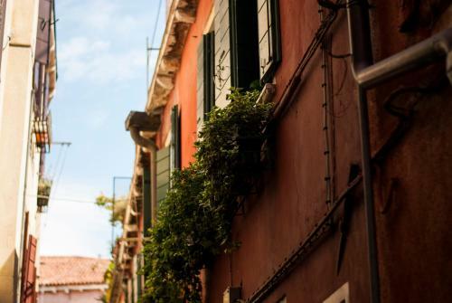 Sunny Venice Apartment
