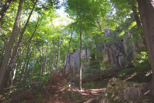 Land-gut-hotel R�uber Lippoldskrug
