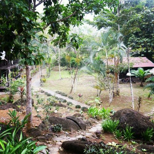 Lodge Acuali Ecohostal