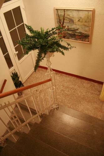 Hotel Na Vodach