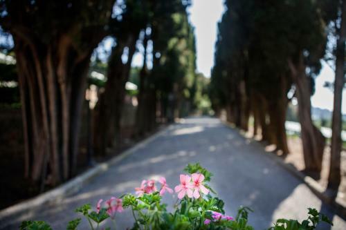 Agroturismo Villa Poggiano