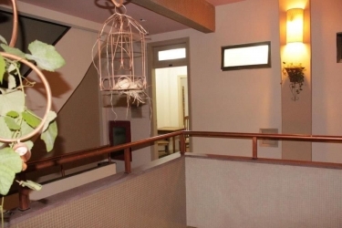 Hotel Hotelo