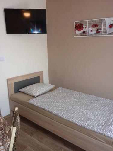 Hostal Penzion ?ech
