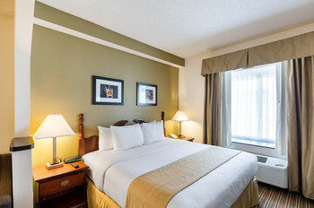 Hotel Quality Inn & Suites West Chase