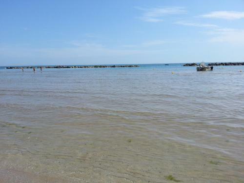 Hotel Nel Pineto