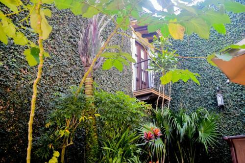 Hotel Meson Del Alferez Coatepec