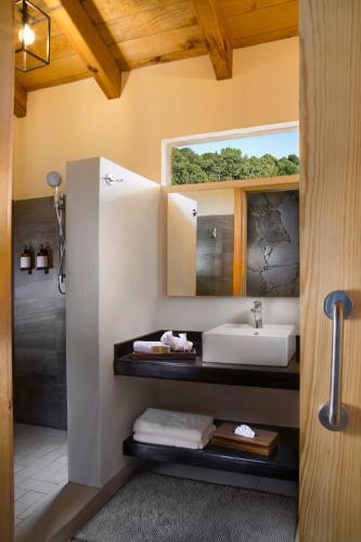 Hotel Bosque Escondido