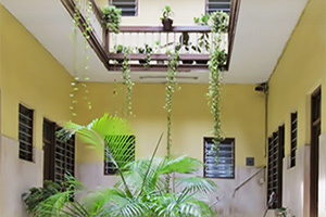 Hotel Amparo