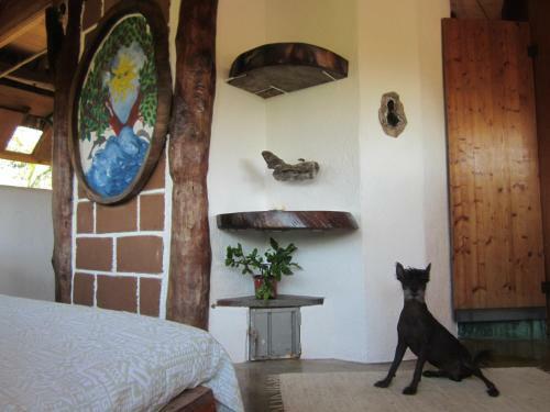 Hostal Castillo Oasis