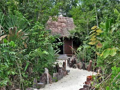 Lodge Jolie Jungle