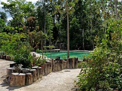 Lodge Jolie Jungle
