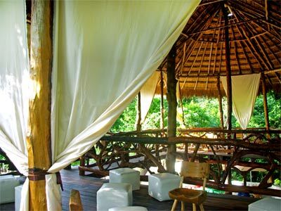 Lodge Jolie Jungle