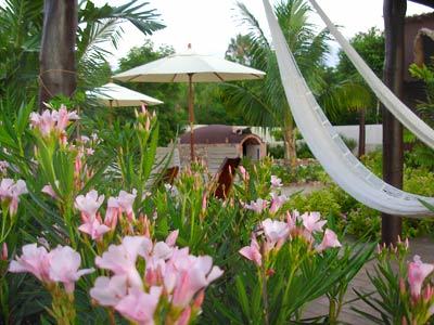 Posada Hotel & Restaurante Naluum