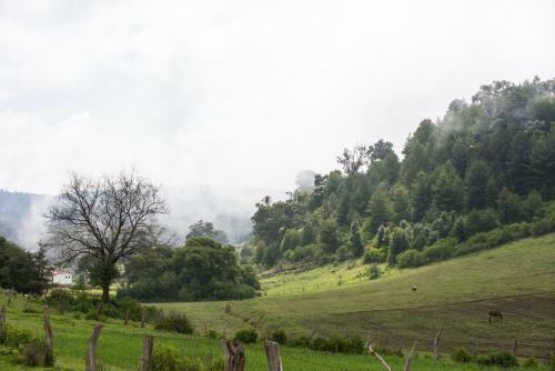 Hotel La Casona