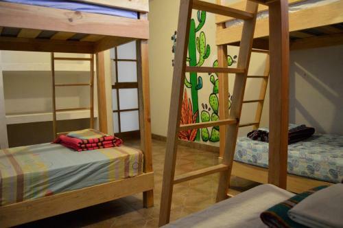Albergue Hikuri Eco Hostal