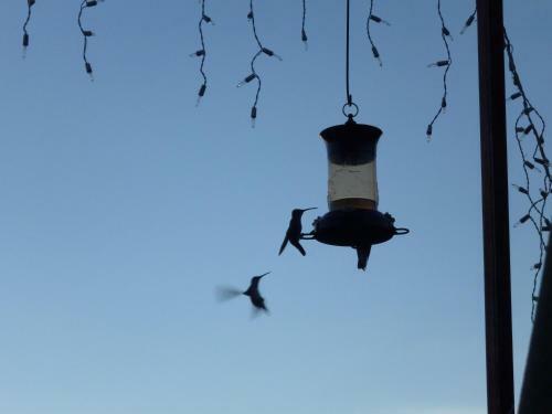 Apartamento Hospedaje El Colibri
