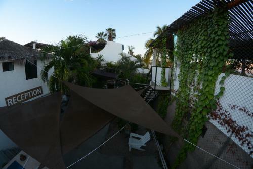 Albergue Perro Surfero