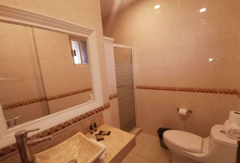 Hotel Savoy Express Torreon