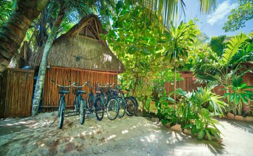 Playa Canek Hotel Spa Boutique