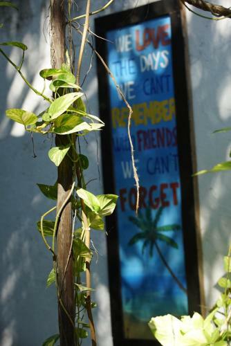 Bed & Breakfast Tunich Jungle Caba�as