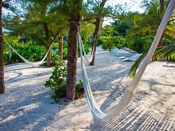 Hotel The Beach Tulum