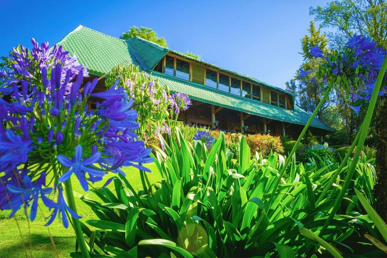Hotel Zirahuen Forest And Resort