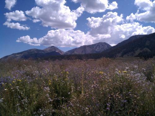 Hotel Snowcreek Resort