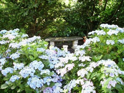 Hostal Hotel Ebnet Garni