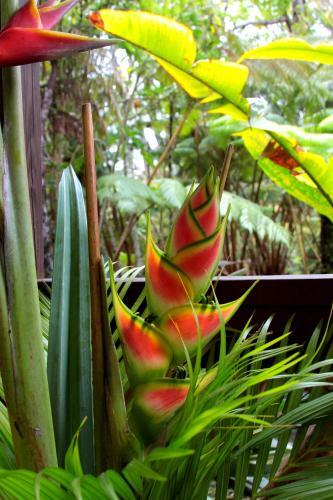 Bed & Breakfast Lotus Garden Cottages
