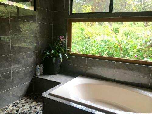 Hostal Tsugi Teahouse At Volcano