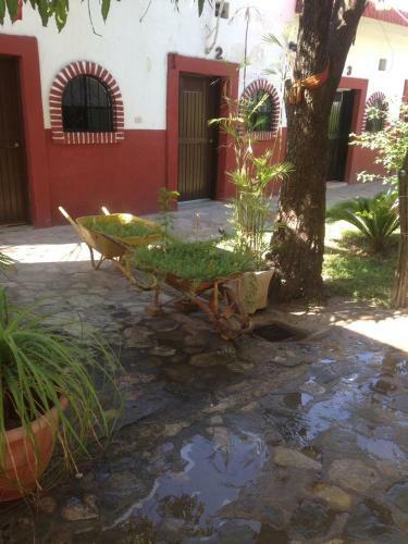 Hotel Y Hostel Guerrero