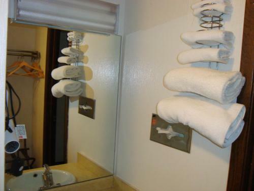 Snelling Motor Inn