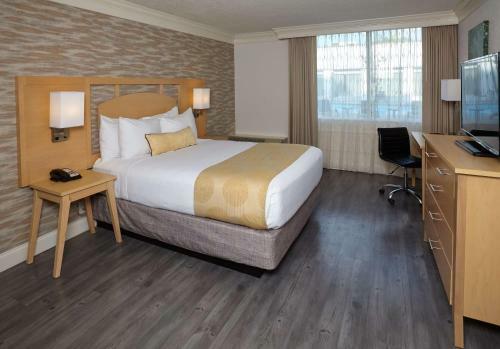 Ramada Plaza Hotel