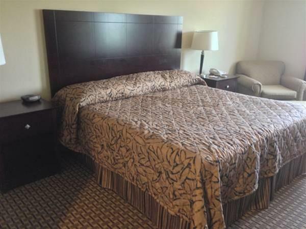 Hotel Scottish Inns Killeen