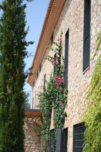 Hotel Pla De Palau