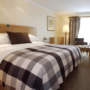 Hotel The Alex