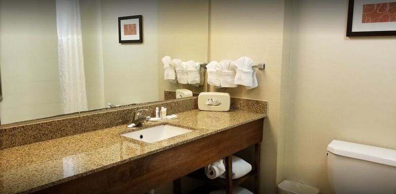 Hotel Comfort Suites Manassas