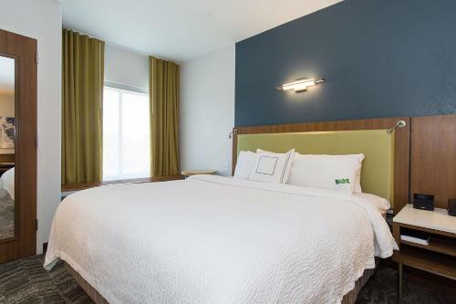 Hotel Springhill Suites Charlotte Ballantyne