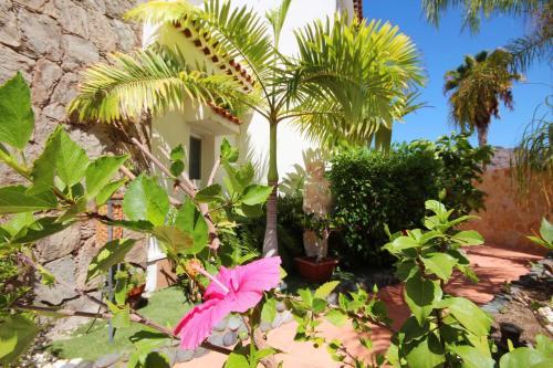 Luxury Villa Lucia