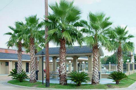 Motel Budget Inn Monroe