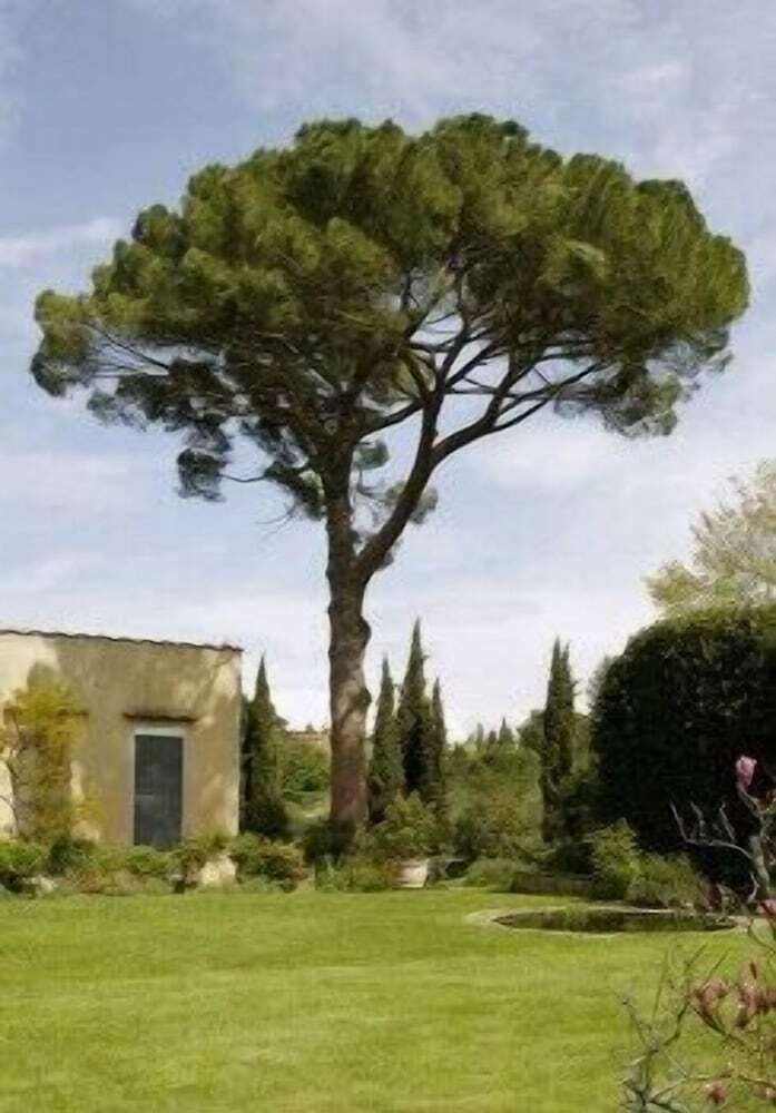 Bed & Breakfast Villa Malavolta