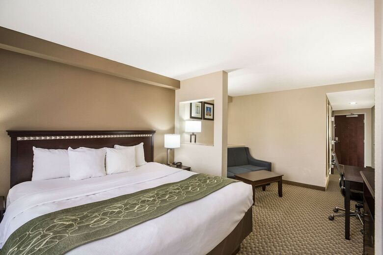 Hotel Comfort Suites Forsyth