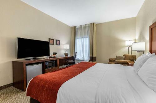 Hotel Comfort Inn Clemson - University Area
